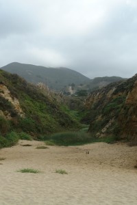 Please ignore the two bottles in front of this beautiful landscape.